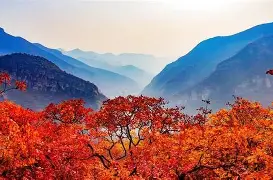 开云-岭北猛虎队火力全开云贵猛虎队,足球小组赛上演耐力碾压对手!赛后更衣室沸腾(云贵牛王对抗赛视频)